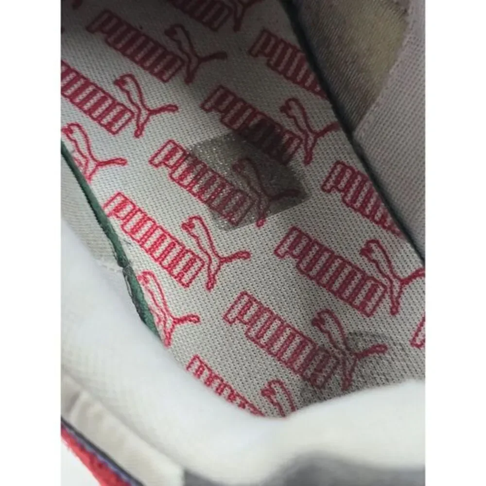 Puma wild rider